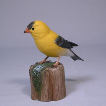 American Goldfinch #1(Male)
