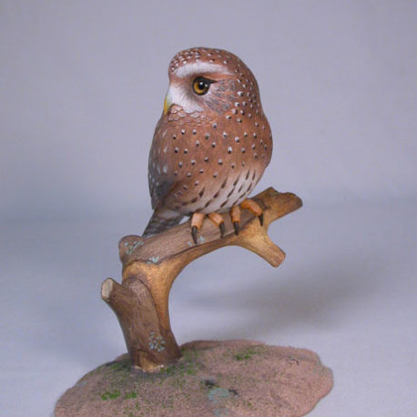 5-7/8″ Northern Pygmy Owl