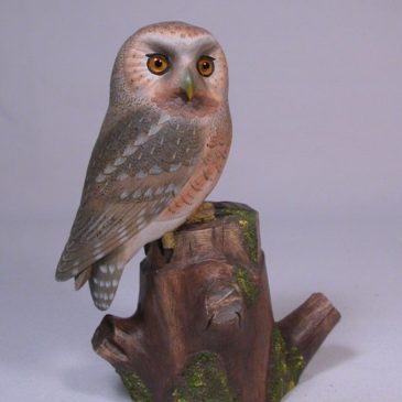 4-3/4 inch Elf Owl