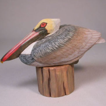 7-1/2 inches Pelican