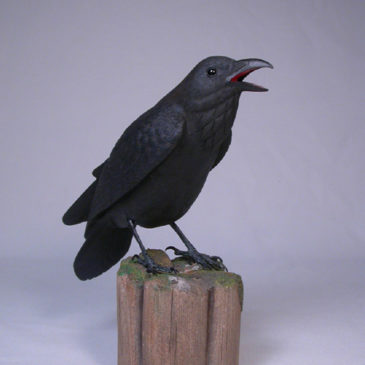 9-1/4″ Common Raven