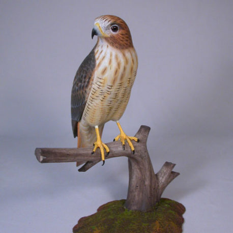 10″ Red-tailed Hawk