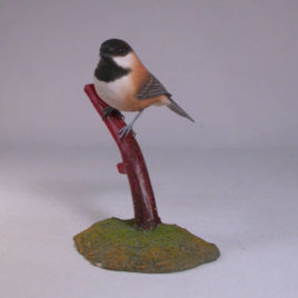 Chestnut-backed Chickadee #2