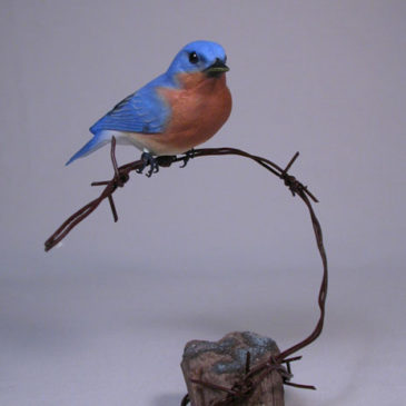 Eastern Bluebird on wire#2 (Male)