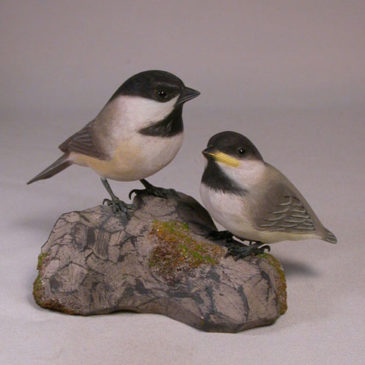 Black-capped Chickadee and a Baby #1