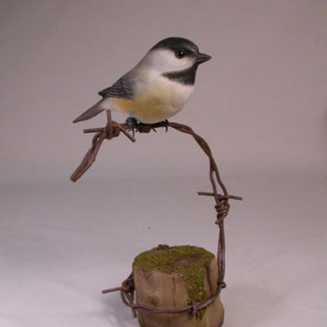 Black-capped Chickadee on barbed wire