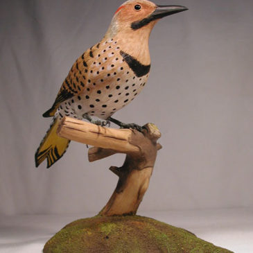 10-3/4″ Life Size Northern Flicker