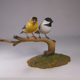 Black-capped Chickadee and America Goldfinch