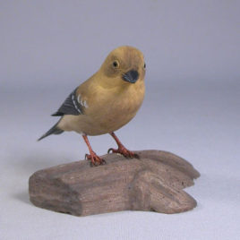 American Goldfinch #3 (Female)