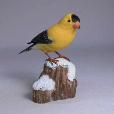 American Goldfinch on Snow #5 (Male)