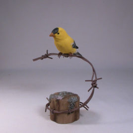 American Goldfinch on barbed wire