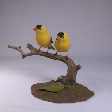 Pair of American Goldfinches (Two Male)