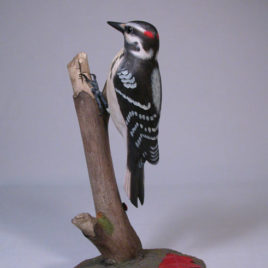 7-1/2″ Hairy Woodpecker