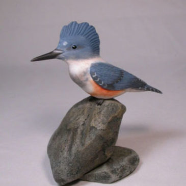 6 inch Male Belted Kingfisher female