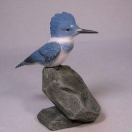 6 inch Male Belted Kingfisher male
