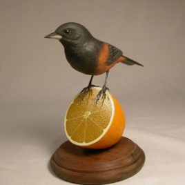 Orchard Oriole #2
