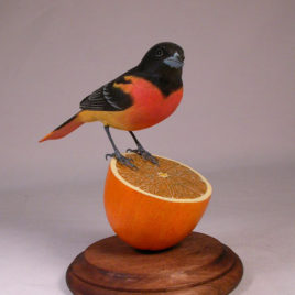 Baltimore Oriole #1