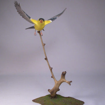 Open-winged American Goldfinch