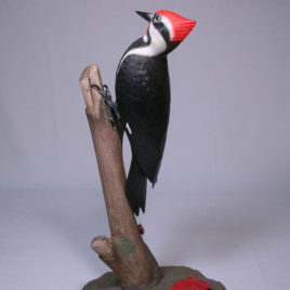 7-3/4″ Pileated Woodpecker