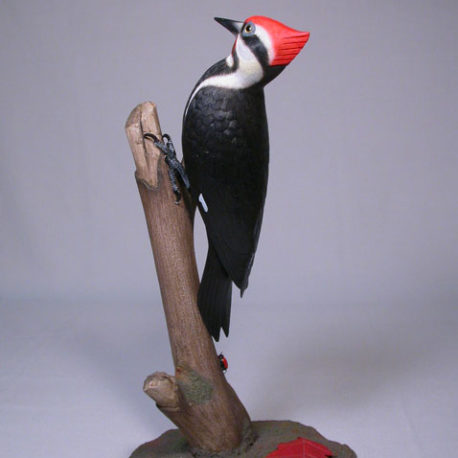 p-woodpecker02