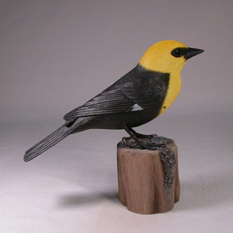 y-h-blackbird2
