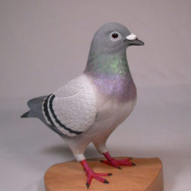 9″ Blue Bar Racing Pigeon