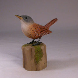 Canyon Wren