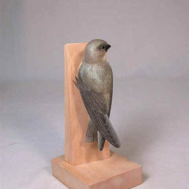 Chimney swift