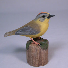 Golden-crowned Warbler