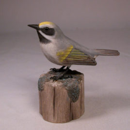 Golden-winged Warbler