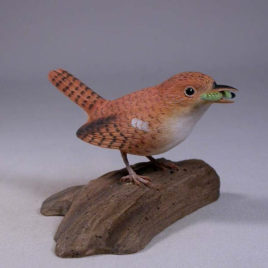 House Wren #2