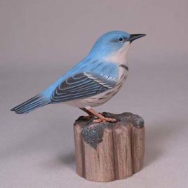 Cerulean Warbler