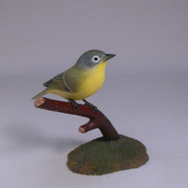 Nashville Warbler #2