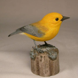 Prothonatary Warbler