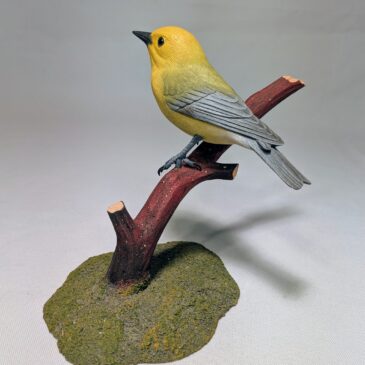 Prothonotary Warbler #2