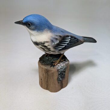 Cerulean Warbler