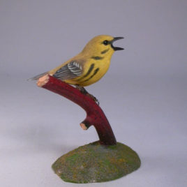 Prairie Warbler #1