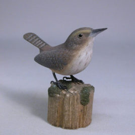 Rock Wren