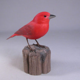Summer Tanager