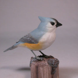 Tufted Titmouse#1