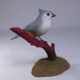 Tufted Titmouse#2 on branch