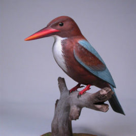 White-throated Kingfisher