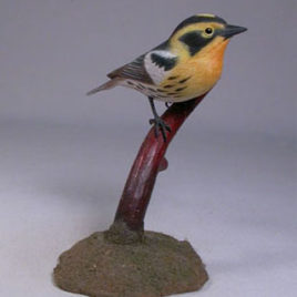 Blackburnian Warbler #2