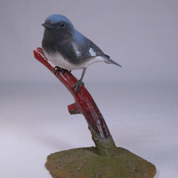 Black-throated Blue Warbler #2