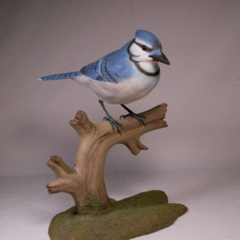 Life Size 9-7/8″ Blue Jay #1