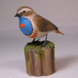 Bluethroat
