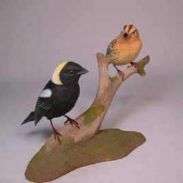 Bobolink Pair Male and Female
