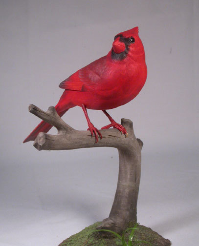cardinal m1-1