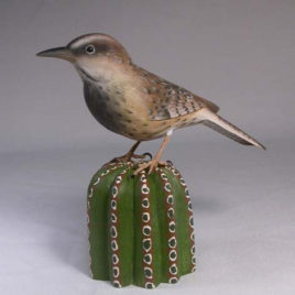 Cactus Wren