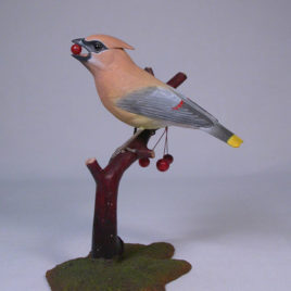 Cedar Waxwing #2 (open mouth)